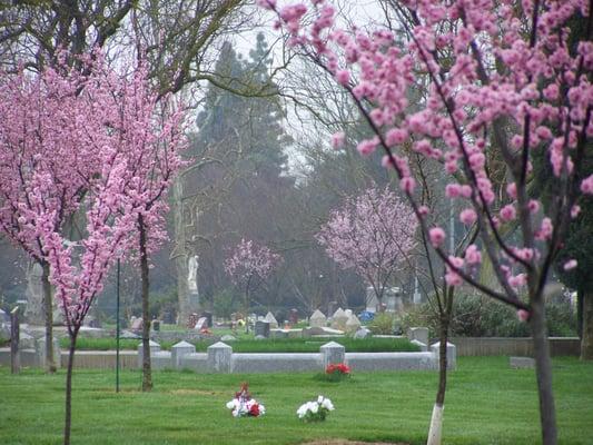 Historic grounds in early spring.