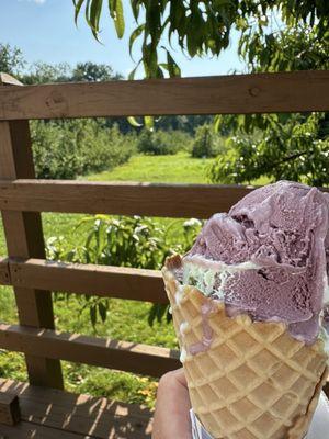 Black Raspberry and pistachio yum!