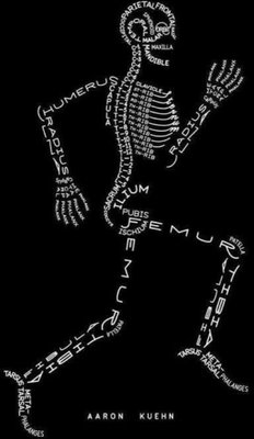 The skeletal system spelled out