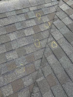 Hail damage to shingles