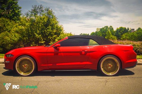 Mustang Eco-boost gold window tint & car detail