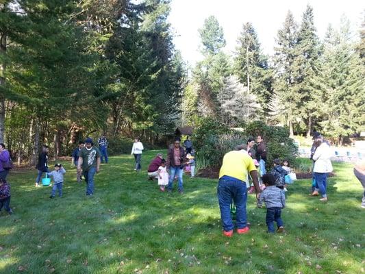 Easter egg hunt for toddlers at the side lawn-garden.