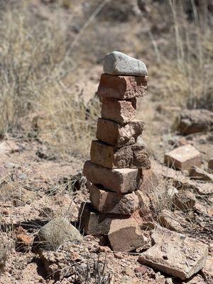 A nice surprise on a hiking trail.