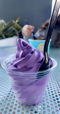 Perfect UBE ice cream