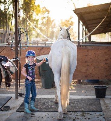 She just fell in love with all of the amazing horses Tom has!