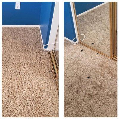 A1 Carpet Cleaning