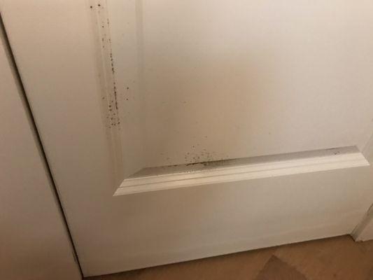 Mold on closet door