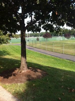 Fields and places to run on this fall day.