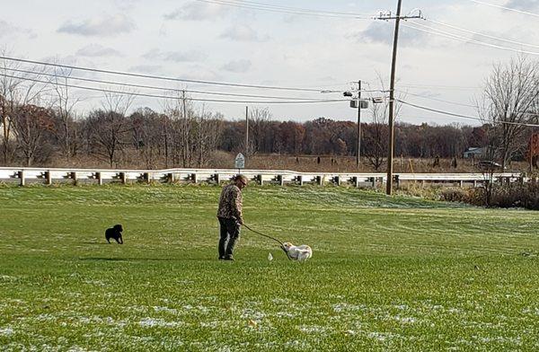 David working with distractions on the underground fence that was installed by K9.