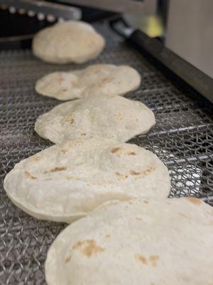 Tortillas de harina recién hechas!