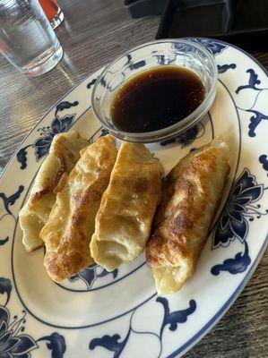 Gyoza appetizer`