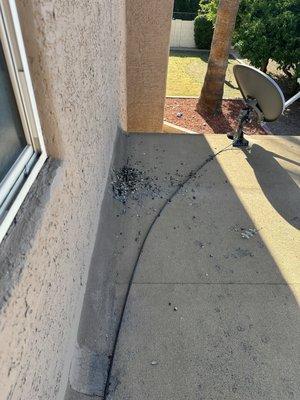 I was told all of the bird droppings were cleaned up and the area sanitized....