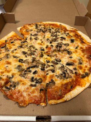 Mushroom pizza