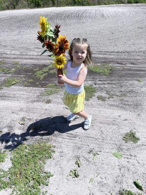 The awesome sun flowers! And our beautiful granddaughter