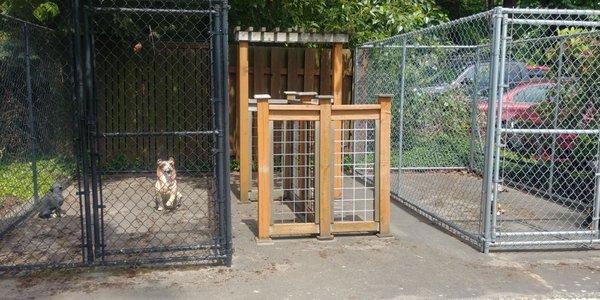 Dog kennels with prop dogs