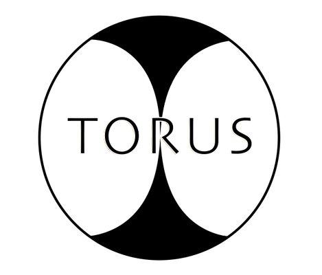 Logo of Torus Digital Cinema