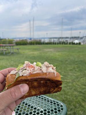 Tasty Lobster roll at the park