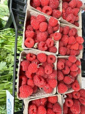 Fresh raspberries