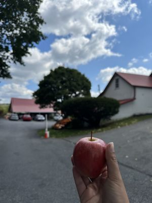 Glen Willow Orchards