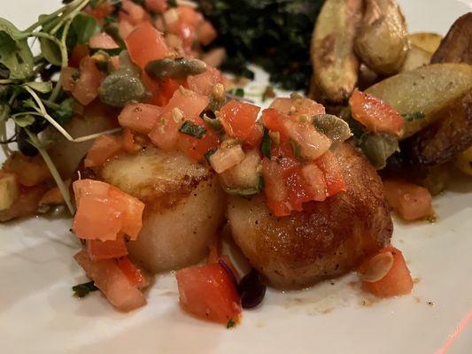 Divers scallops with fresh tomato, basil and micro greens