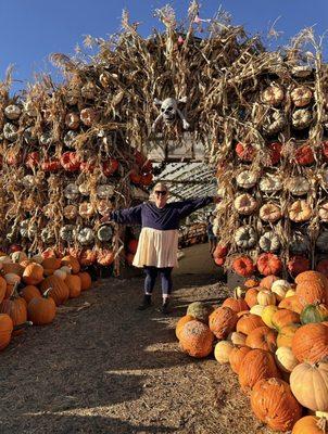 Pumpkin patch wall