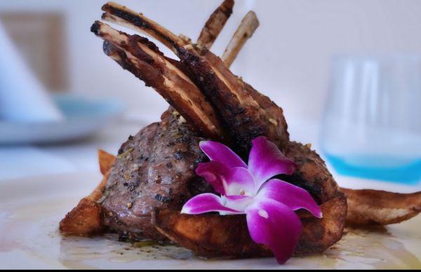 Char Grilled Lamb Chops