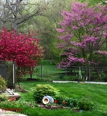 Spring flowering trees