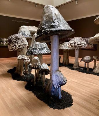 Mushroom installation