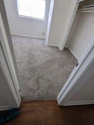 Carpet Install