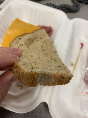 Moldy bread.