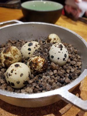 The quail eggs