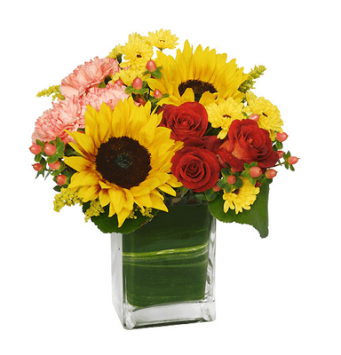 Send sunny flowers to brighten their day and show your love and appreciation. Call today or order this SEASON FOR SUNFLOWERS!