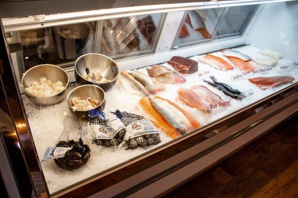 Fish Market at Lake Zurich | Fish Selection for The Fresh Catch