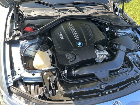 BMW Engine compartment