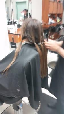 Before the drastic cut..if your donating, note to salon BRAIDS!!