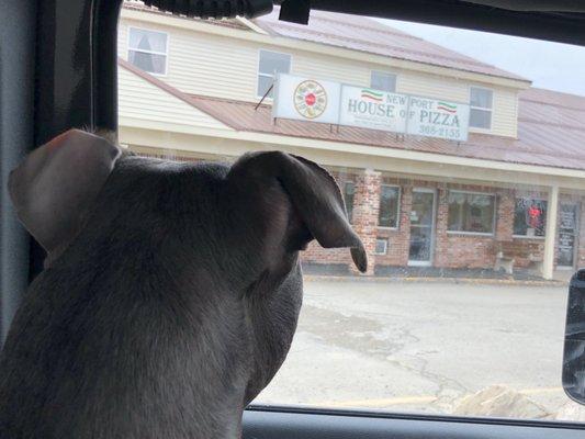 My Ollie Blu anticipating for Dad to come out with the pizza!