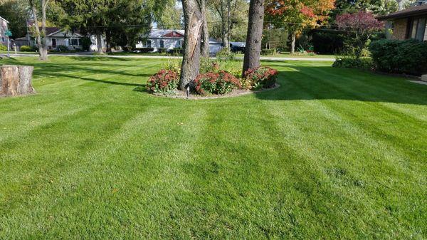 Moore's Lawn Maintenance