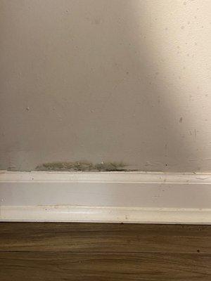 Mold seeping into the dining room