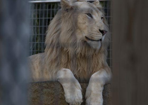 Plumpton Park Zoo