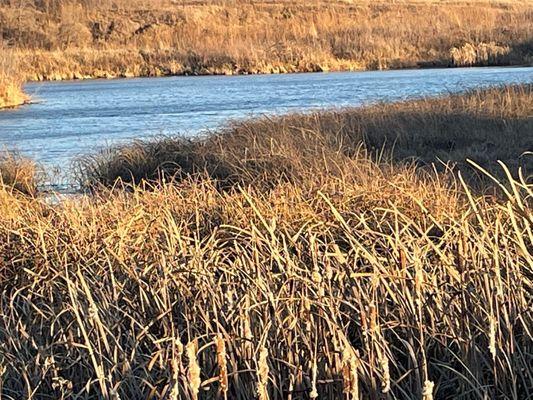 Spring Creek Prairie Audubon Center