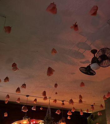 Paper poppies adorn the ceiling in the main room