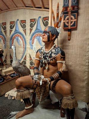 Part of the South Florida People and Environments exhibits. Featuring the Calusa tribe.