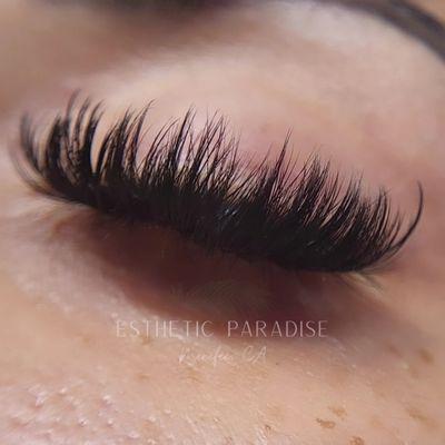 Volume set of lashes