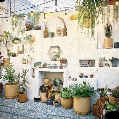 Plant wall