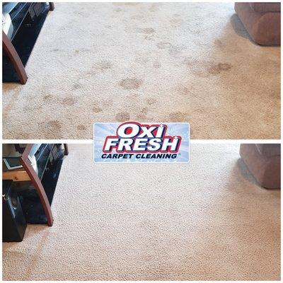 Before and after for a carpet clean