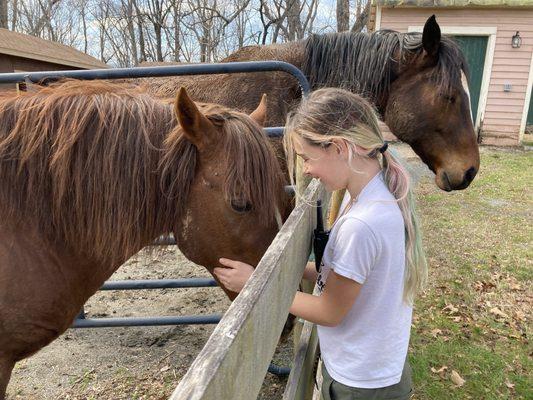 A girl & a horse