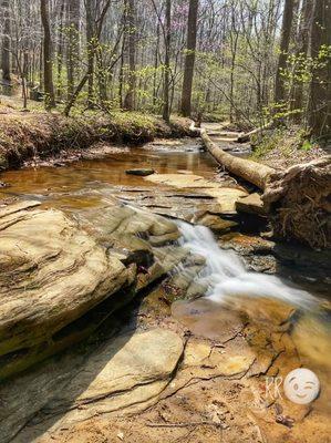 Ravine Trail