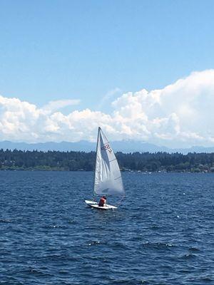 Sailing a laser during the free refresher lesson