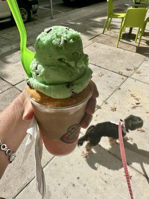 Scoop Froggy Frog, mint chocolate chip, & a free vanilla ice cream for my dog.  I got a free medium this time because of my points' total.