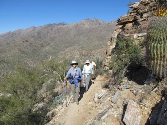 Clients from Michigan enjoying Sabino Canyon National Park. Something to tell their families and friends about!!